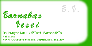 barnabas vesei business card